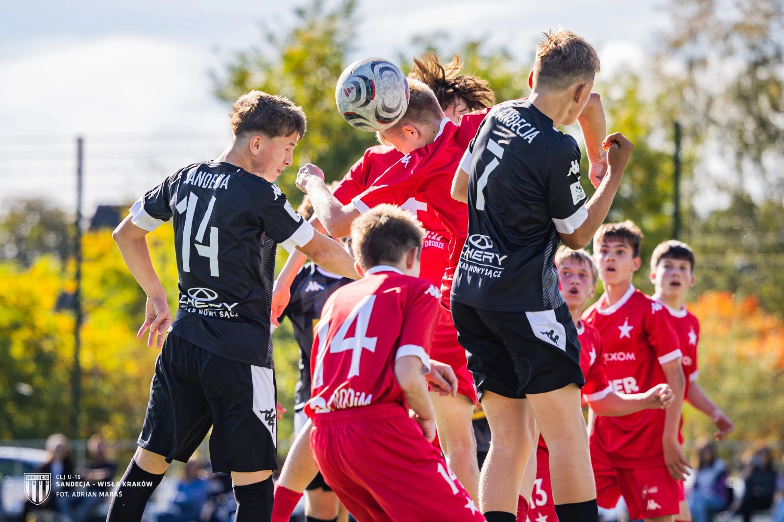Akademia Sandecja — zdjęcie 3
