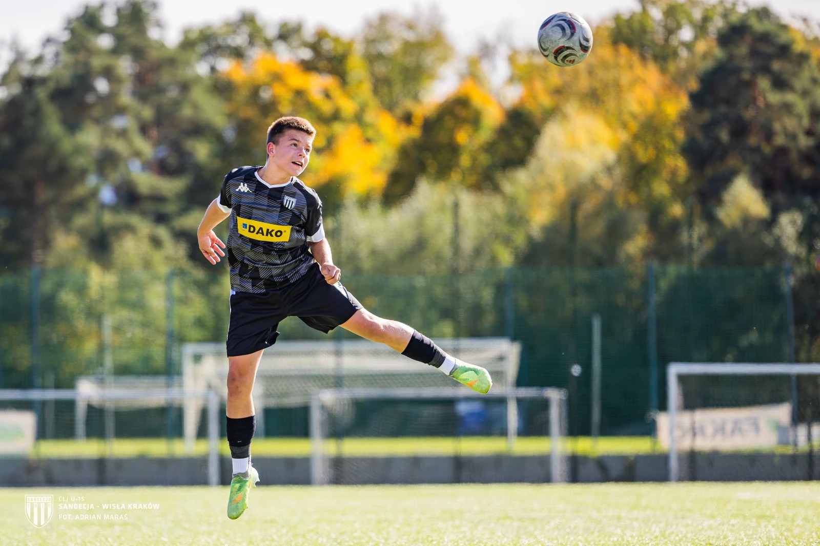 Akademia Sandecja — zdjęcie 4