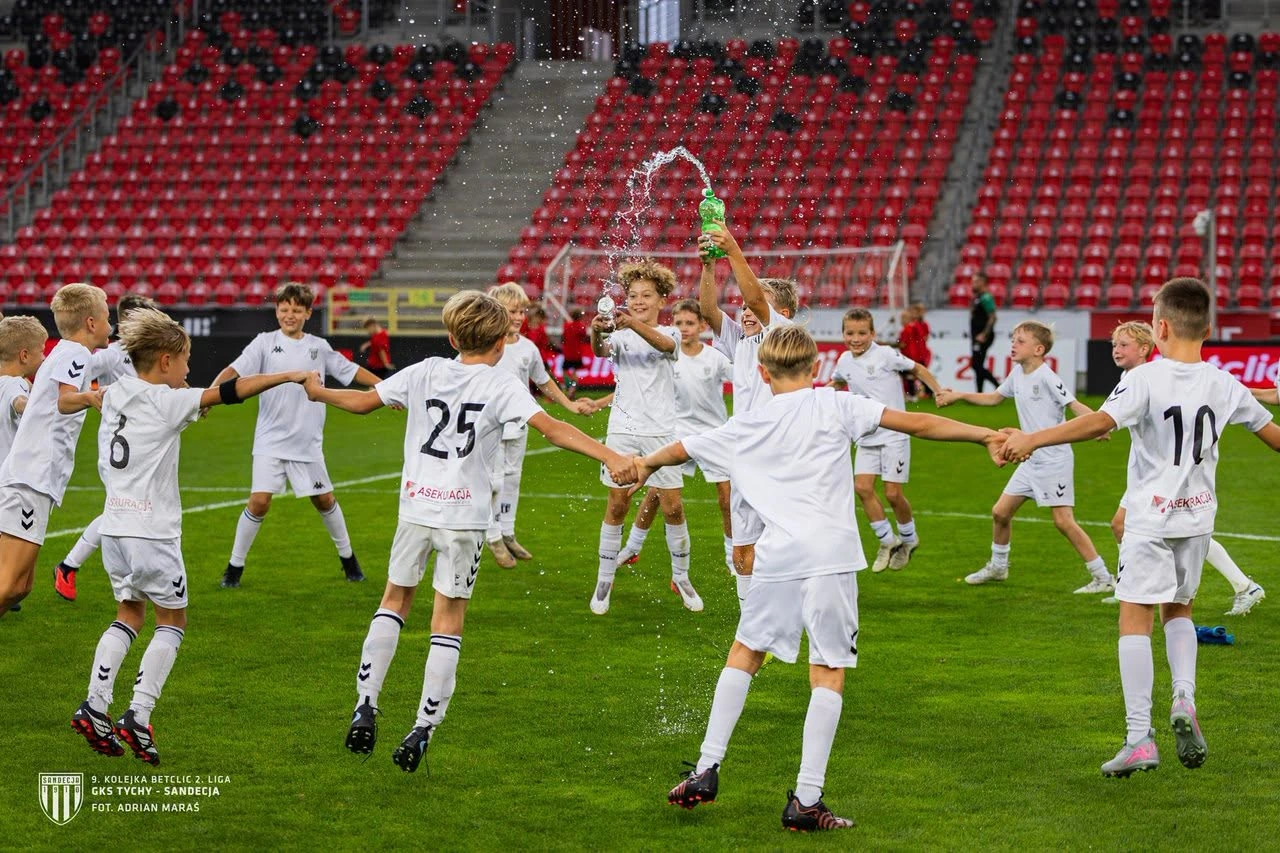Akademia Sandecja — zdjęcie 4