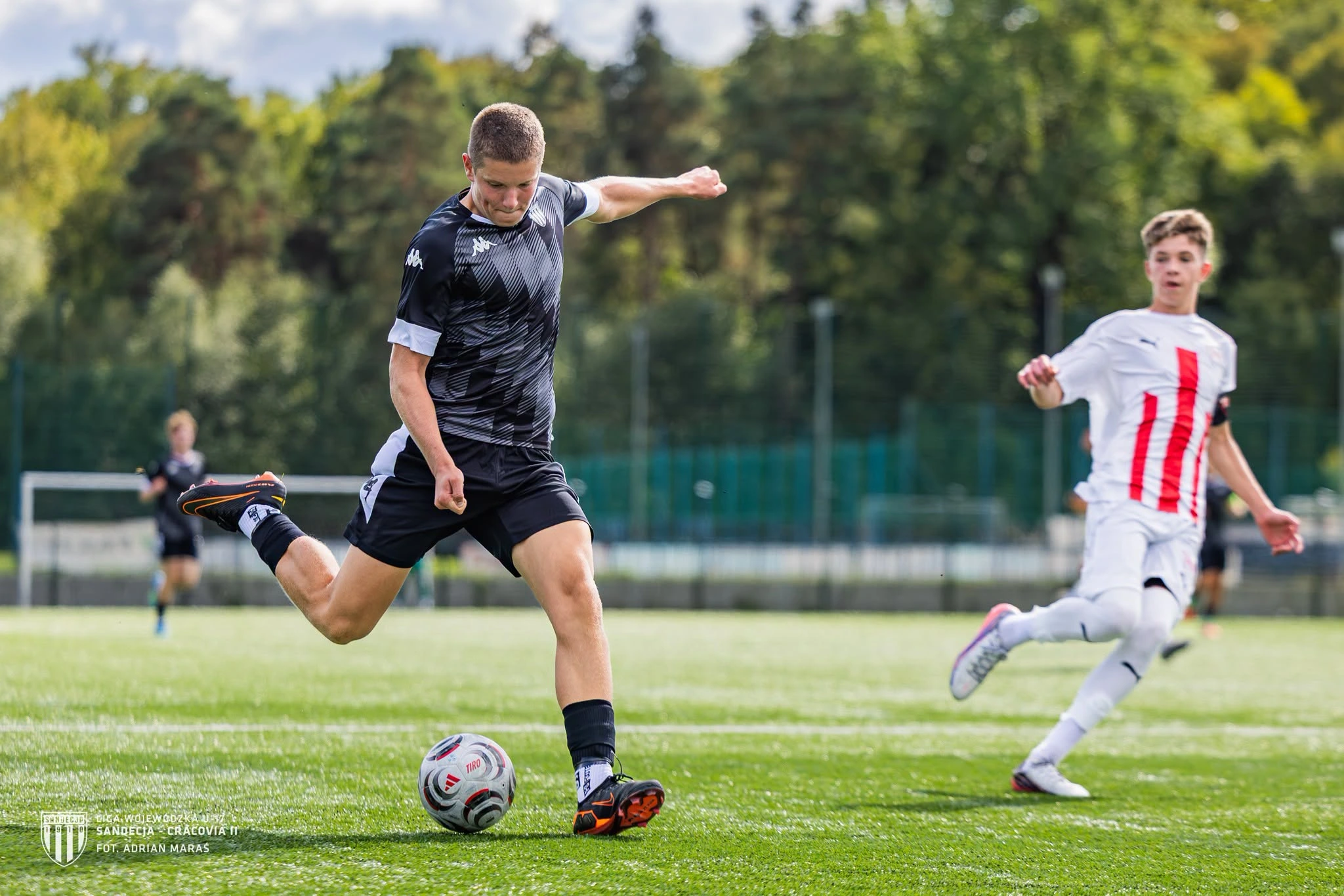 Akademia Sandecja — zdjęcie 5